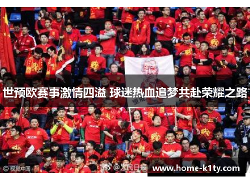 世预欧赛事激情四溢 球迷热血追梦共赴荣耀之路